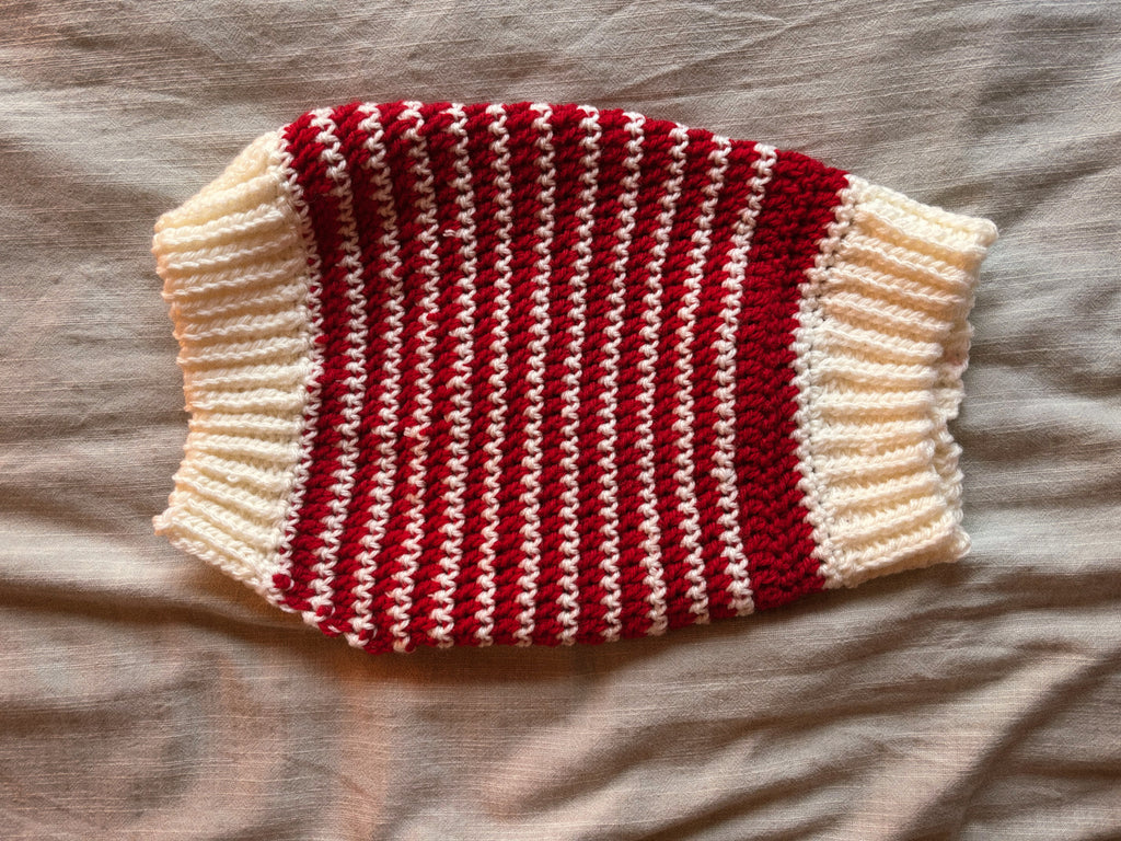 Pull pour chien au crochet | Taille et couleur personnalisées | XS–XL